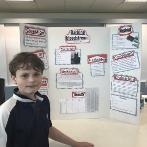 Students at the Science Fair